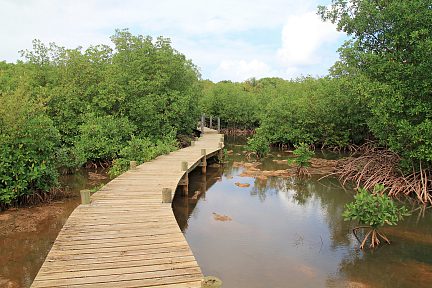 Une randonnée très peu fréquentée dans le marais de Port-Louis