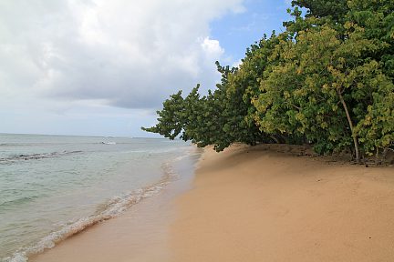 De retour le long de la plage du Souffleur
