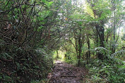Le chemin est glissant et boueux