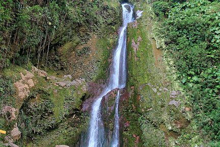 Dans le Parc National de la Guadeloupe