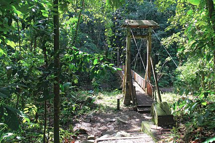 Passerelle sur le chemin de randonnée