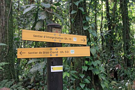 Le sentier d'interprétation est par là
