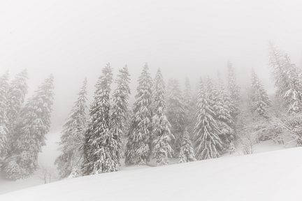 Brouillard givrant en raquette à La Dôle, Jura suisse