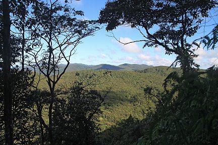 Une jolie vue se dégage à travers la forêt