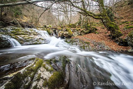 Nature en mouvement