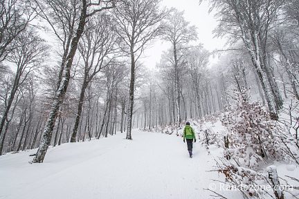 Progressions dans la neige le long de la piste