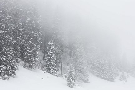 Brouillard givrant sur les crêtes de La Dôle, Suisse