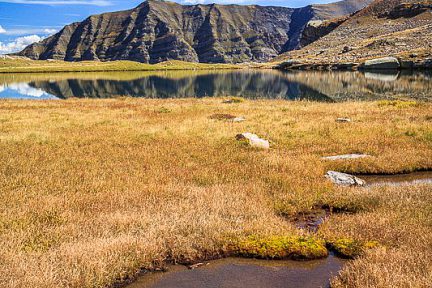 Zone humide près du lac Faravel