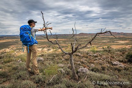Sur le plateau dans le désert des Bardenas Reales
