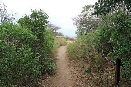 Sur le sentier de randonnée