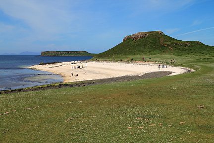 La plage recouverte d'exosquelettes