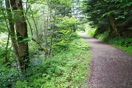 Sur la piste qui longe la rivière