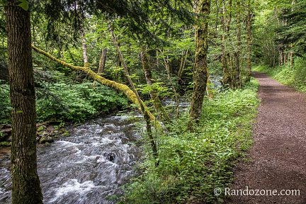 Sources de la Dordogne : cours d'eau et sentier