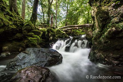 Une petite cascade dans la forêt