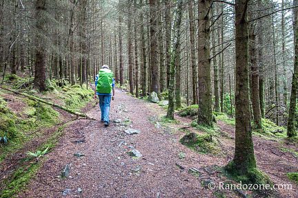 Début de la balade dans la forêt