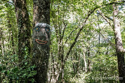 Les arbres sont bizarres par ici