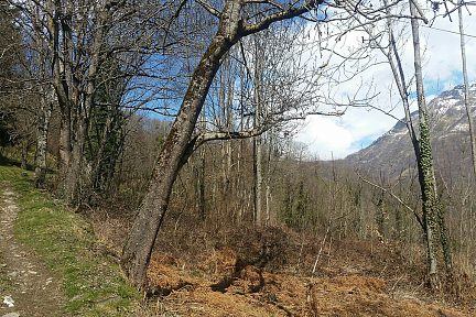 Sur le chemin qui longe la vallée