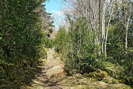 Durant la montée sur le sentier