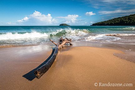 Balade sur la plage en Guadeloupe