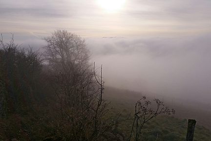 Le brouillard est glacial ce matin