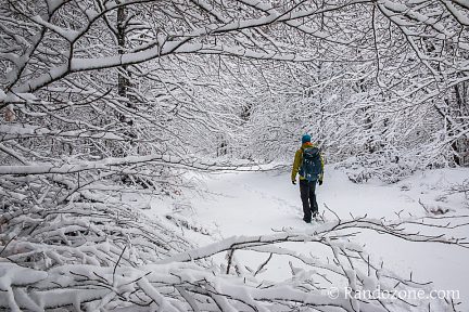 Balade dans la neige en Aubrac