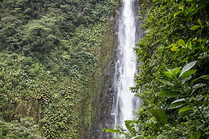 Deuxième chute du Carbet sur Basse-Terre