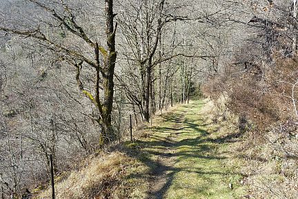Sur le sentier qui longe le lac
