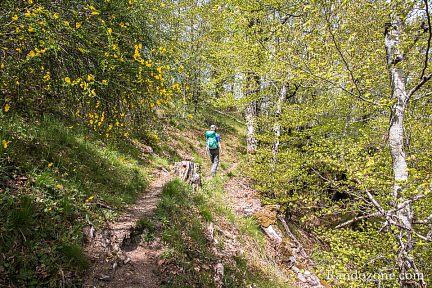 On commence à sortir de la forêt