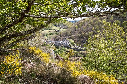 Le hameau en contrebas devant les genêts