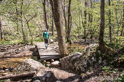Passage d'un pont en bois