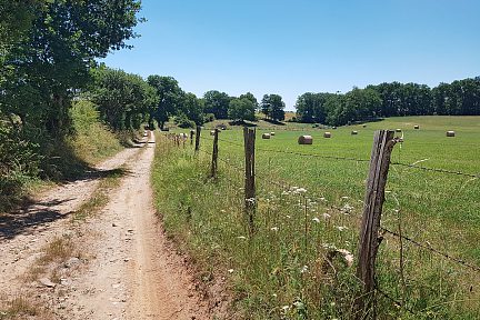 Le chemin que l'on emprunte longe les près