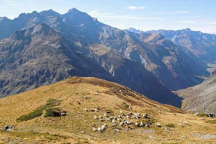 Le beau plateau