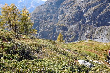 Début de la longue descente finale