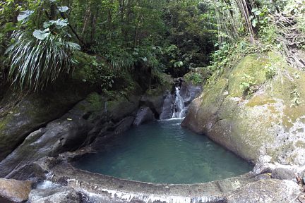 Bassin bleu sur Basse-Terre en Guadeloupe