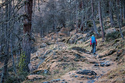 Montée dans la forêt au dessus du Monal