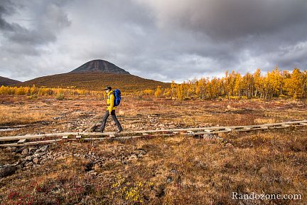 Lumière fantastique et couleurs jaunes iréelles
