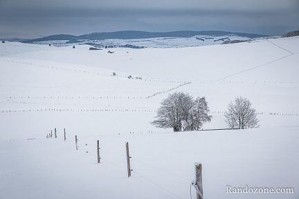 Paysage désertique de l'Aubrac sous la neihe