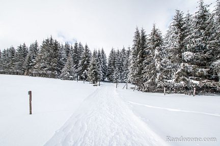Passage sur les pistes de raquettes à neige de Sainte Urcize