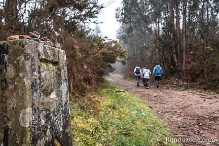 Sur la dernière étape du chemin de Saint Jacques de Compostelle