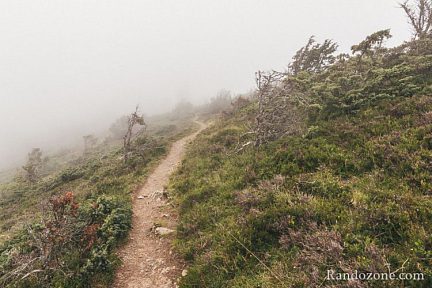 Sentier très esthétique dans le brouillad