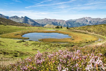 Bruyères au lac de Soum