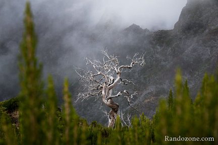 Ambiance en montant au Pico Ruivo