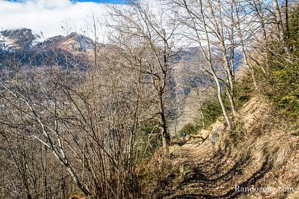 Large sentier pour monter dans la forêt