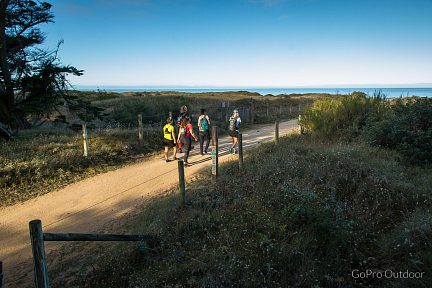 On sort de la forêt pour arriver sur la plage