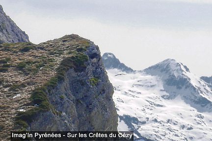 Sur les Crêtes du Cézy