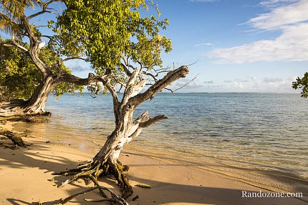 Eaux claires de Marie Galante en Guadeloupe