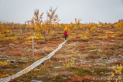Randonnée dans le parc d'Abisko en Suède
