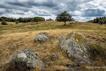 Aubrac en été