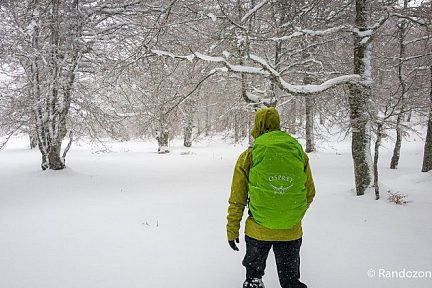Randonnée sur Aubrac en hiver