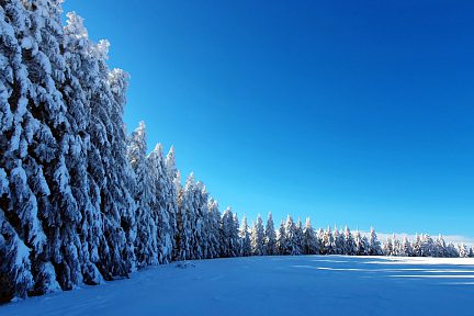 Petite pause pour admirer les sapins gelés près de la domerie d'Aubrac